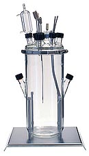 Laboratory Fermenter-Bioreactor 7 l vessel